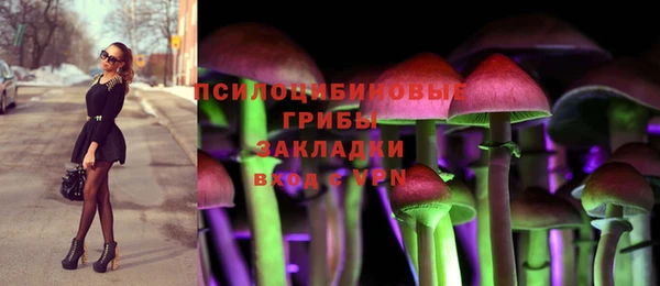 стафф Алексин