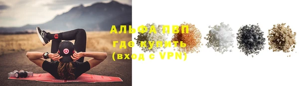 стафф Алексин