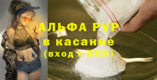 стафф Алексин