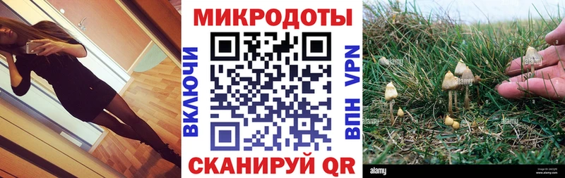 Псилоцибиновые грибы Magic Shrooms  закладка  Коркино 